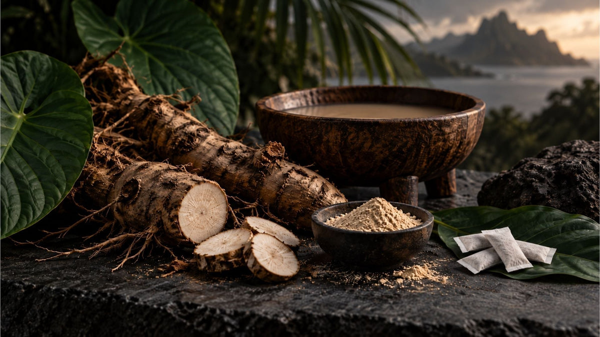 What Is Kava? The Complete Guide to the Root, Its History, and Kava Pouches - Rooted Pouches