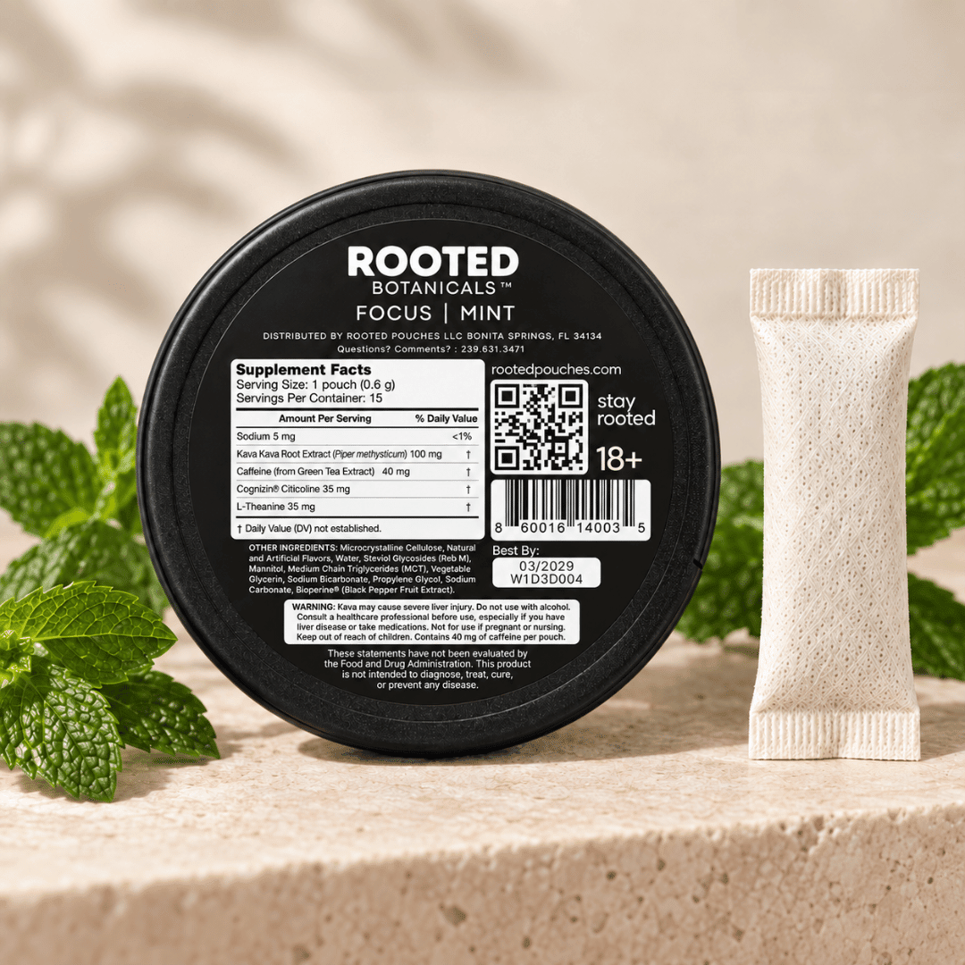 Rooted FOCUS kava pouches label showing kava, Cognizin®, caffeine, and L-Theanine